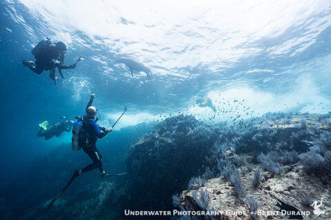 Scuba Divers with GoPro filters